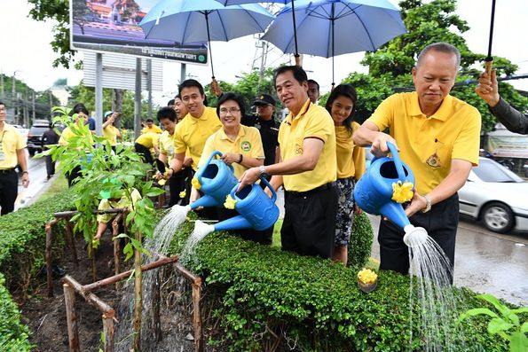 โครงการปลูกไม้ยืนต้นเฉลิมพระเกียรติ เนื่องในโอกาสมหามงคลพระราชพิธีบรมราชาภิเษก